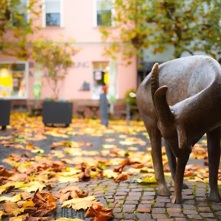 Cityappartment Huenfeld- Smarttv Freewlan Balkon, In Wenigen Minuten Am Bahnhof, Innenstadt Und Doch Ruhig Gelegen - Ideal Fuer Paare Oder Geschaeftsreisen Апартаменты *